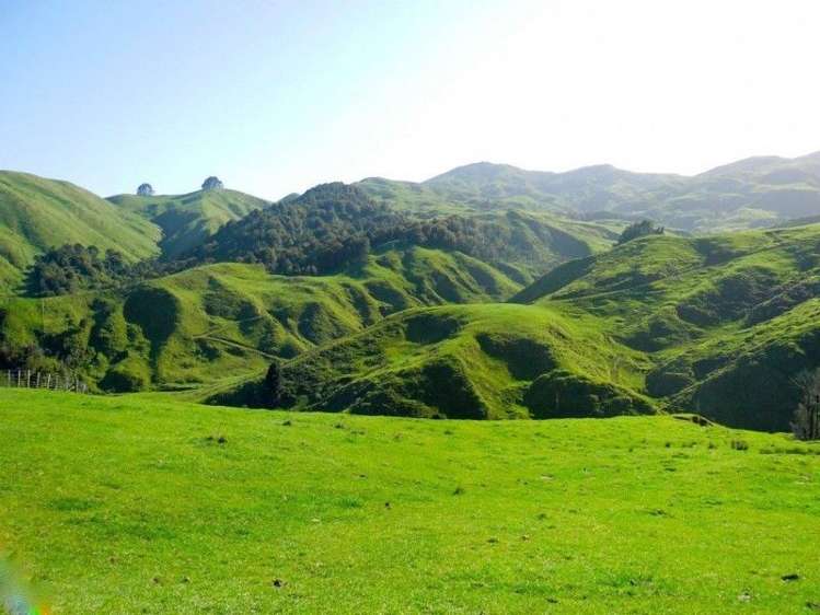 153 Hill Road Te Aroha_18