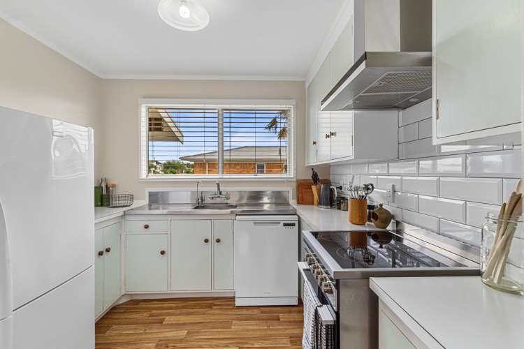 31 Poaka Avenue Dinsdale_4