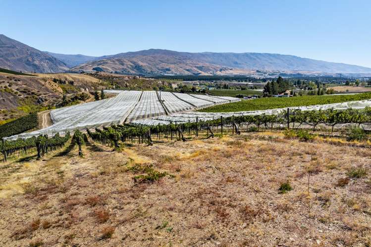 98c Paterson Road Nevis_3