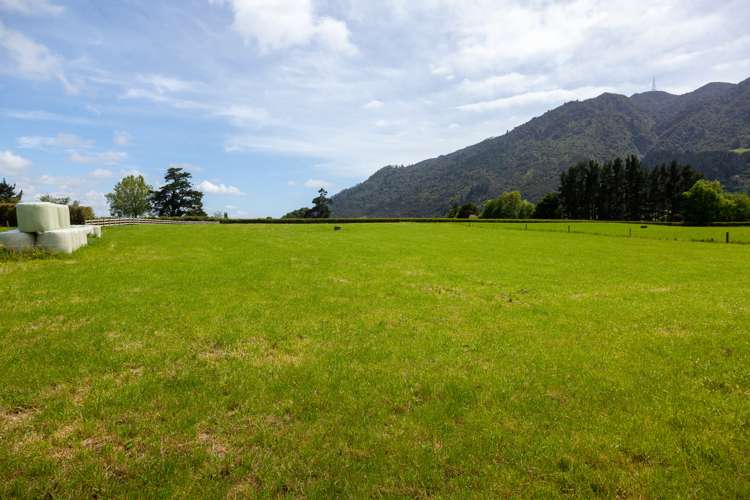231a Stanley Road Te Aroha_11