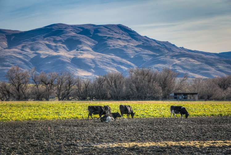 45 Mawhinney Road Omakau_13