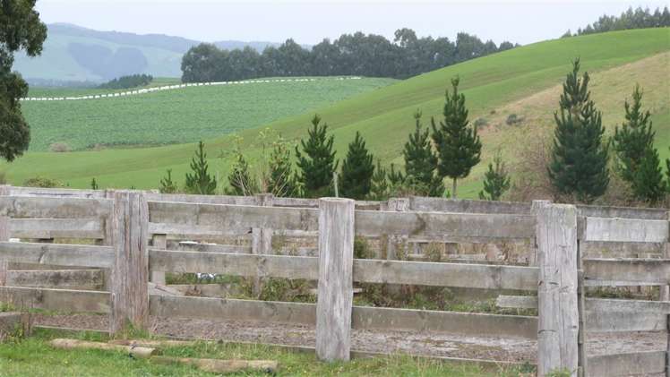 44 Rodgers Road Catlins Surrounds_16