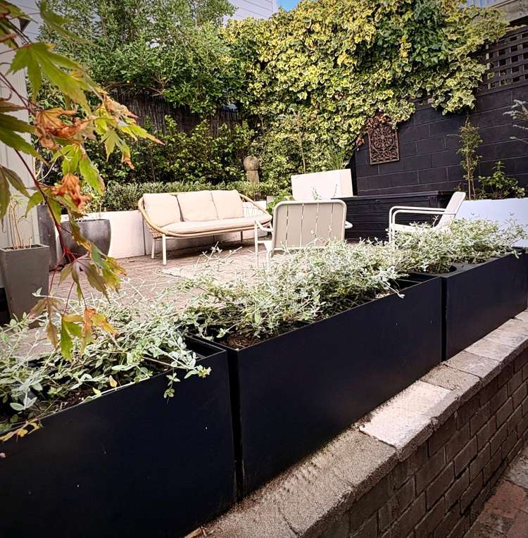 58 Wright Street Mount Cook_15