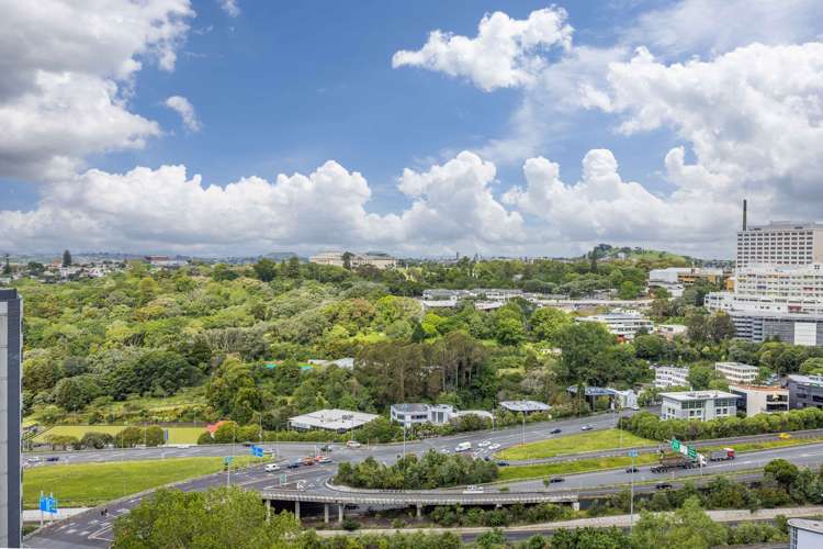 1503/37 Symonds Street Grafton_0