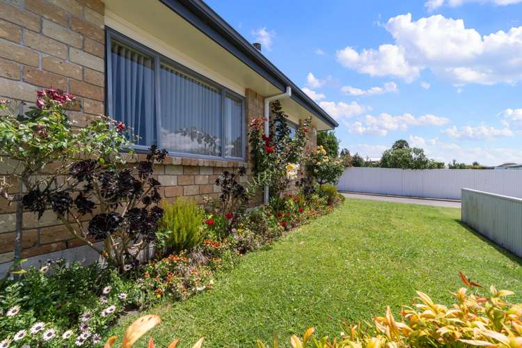 3/241 Mangapiko Street Te Awamutu_15