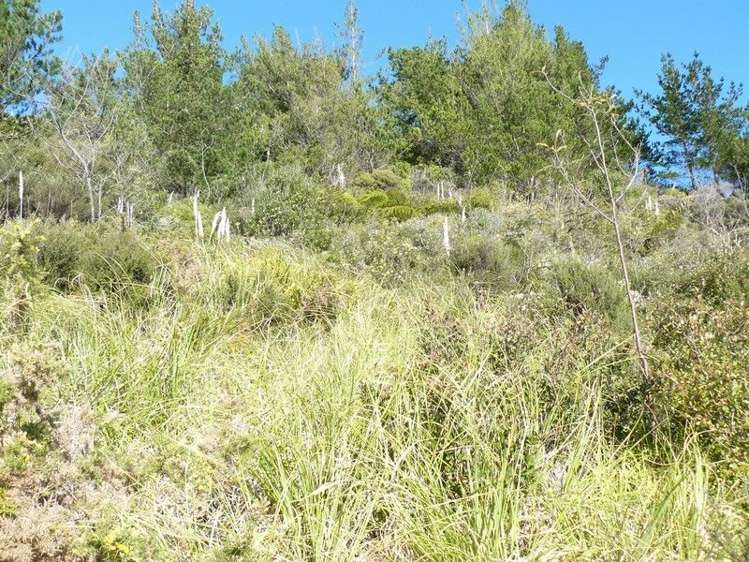 15 Fantail Terrace Tairua_6