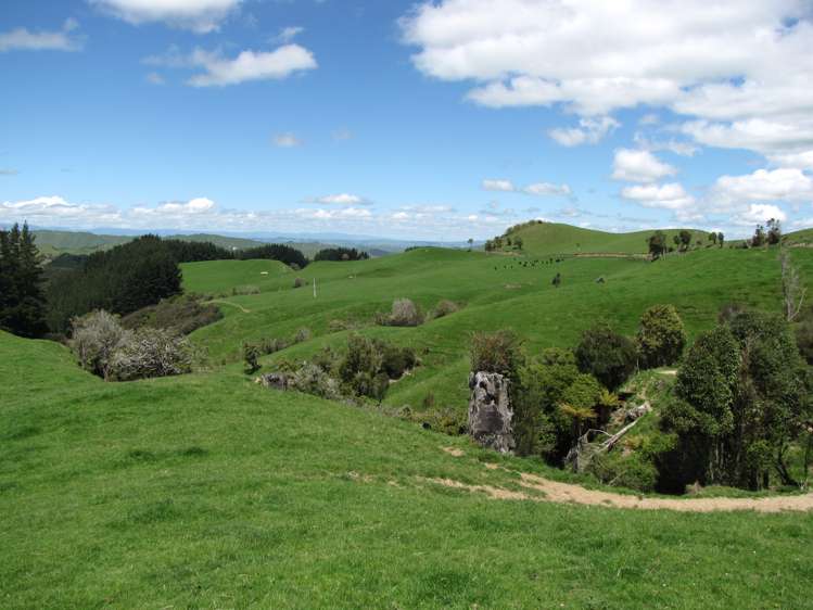 205 Kaweka Road Taihape and Surrounds_14