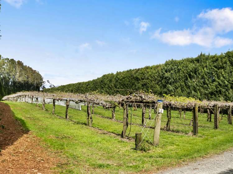 863 State Highway 2 Tanners Point_10