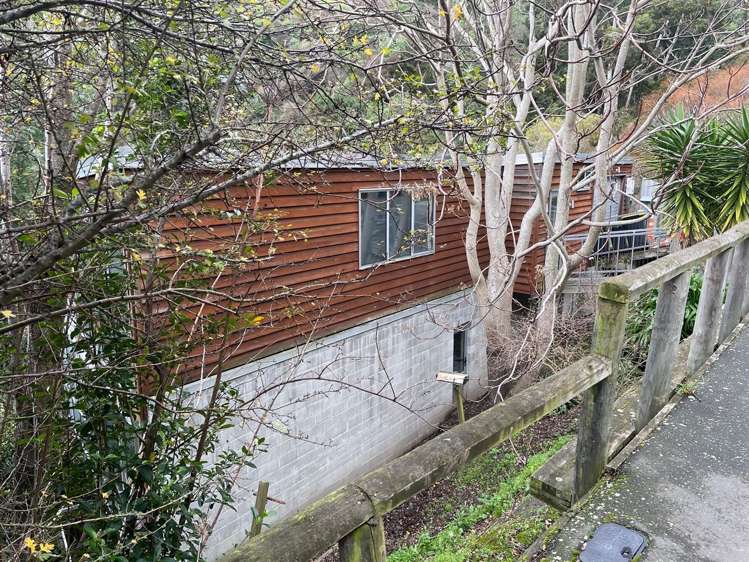 57 Holliss Avenue Cashmere_2