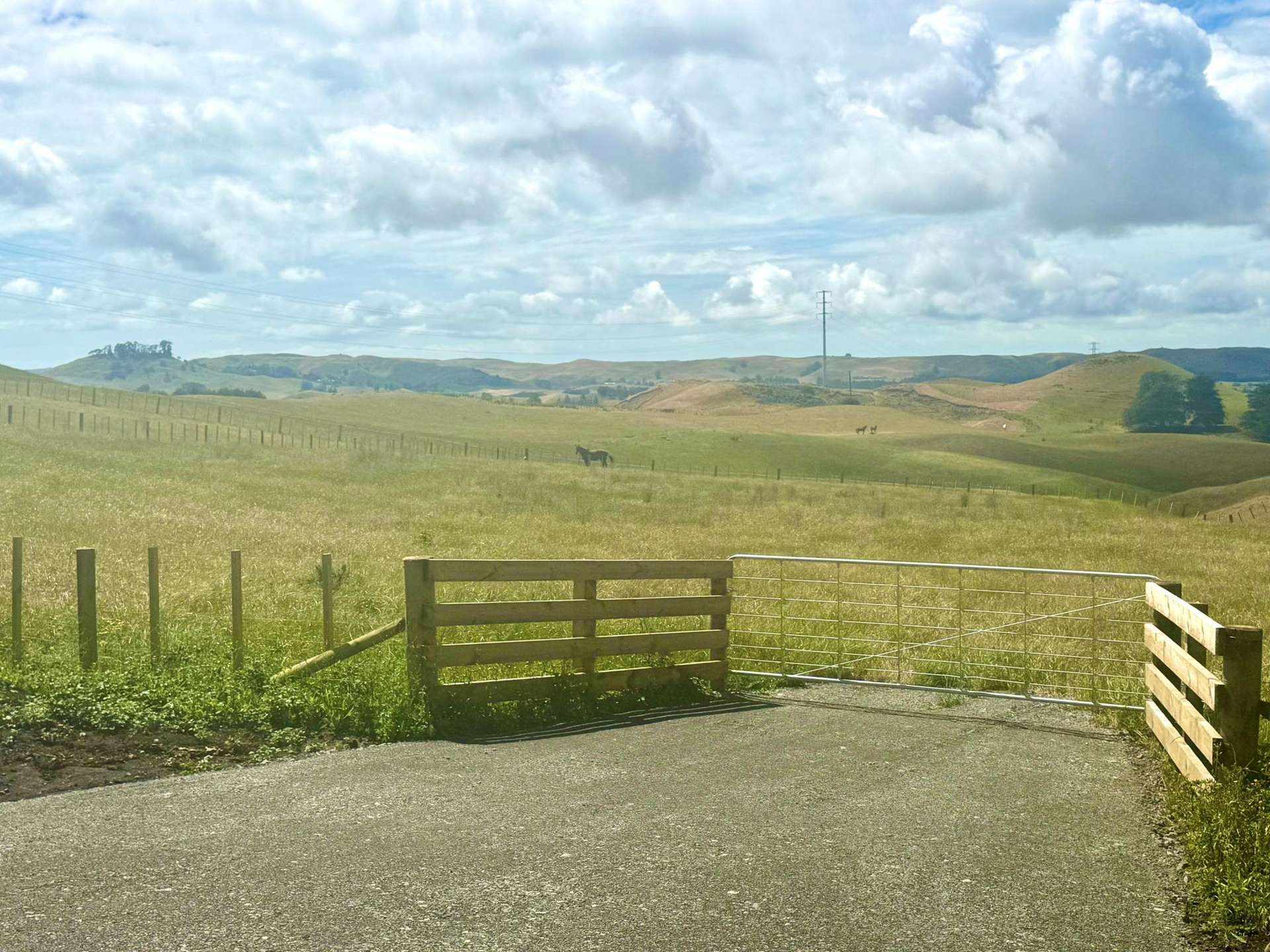 Lot Lots 1&2 Taihape Road Sherenden_0