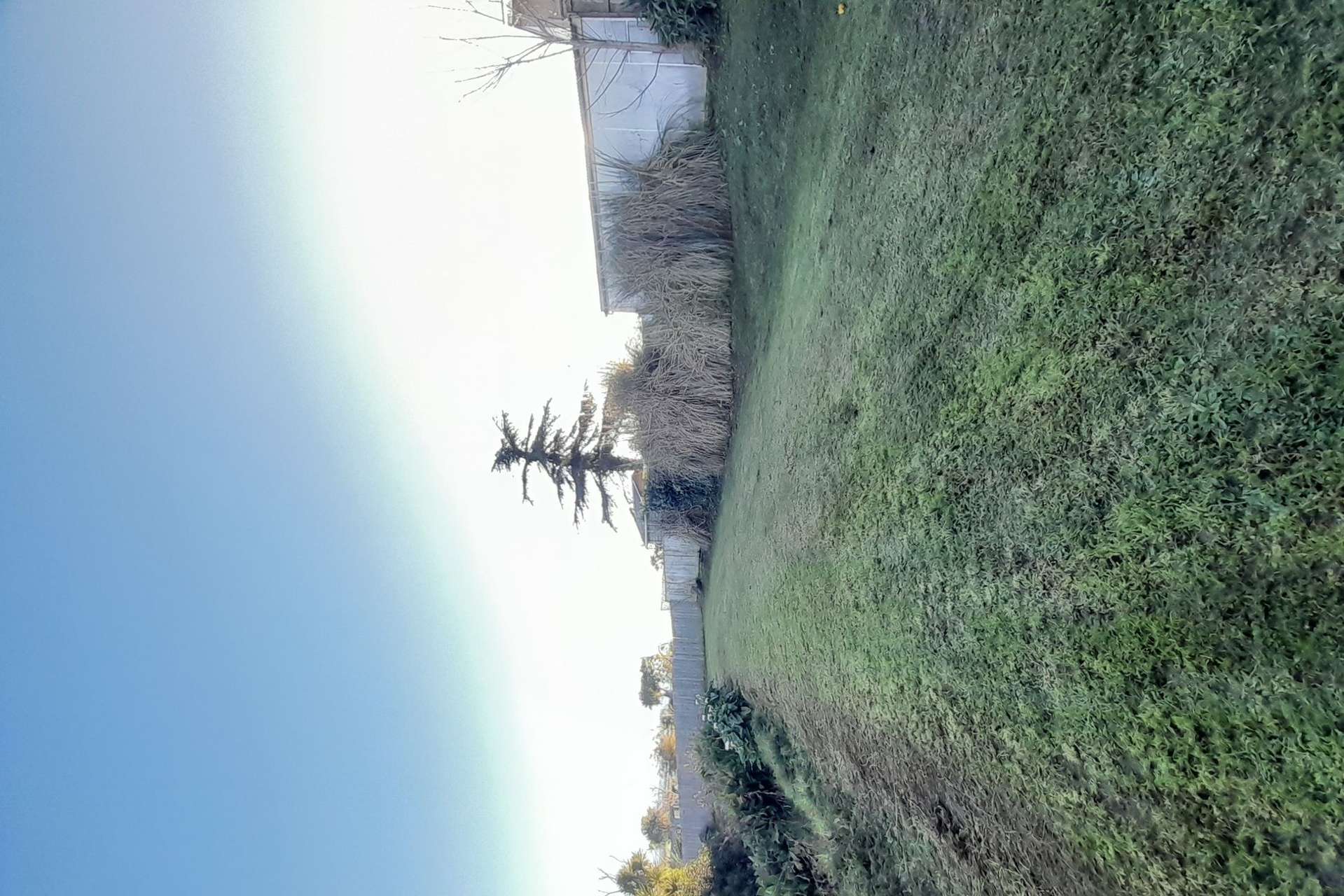 107 Bowen Place Thames_0