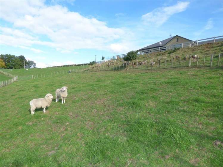 152 Sircombe Road Otorohanga_25