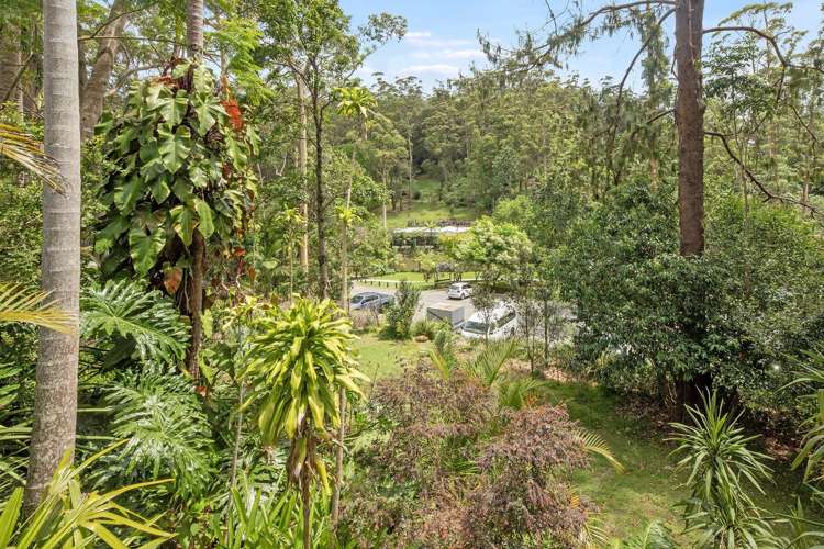 3 Orchis Drive Tamborine Mountain_30