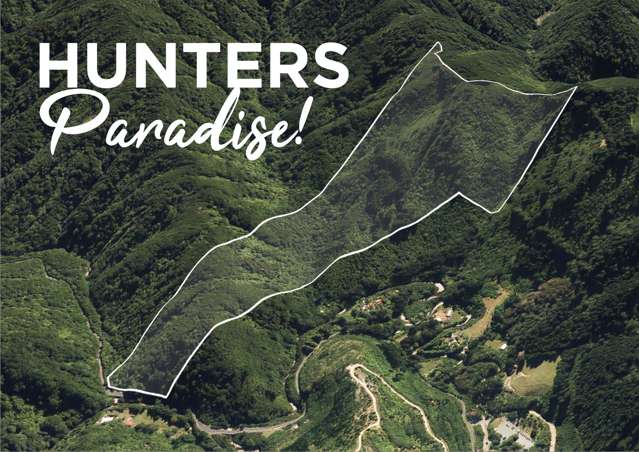 A Hunter’s Paradise