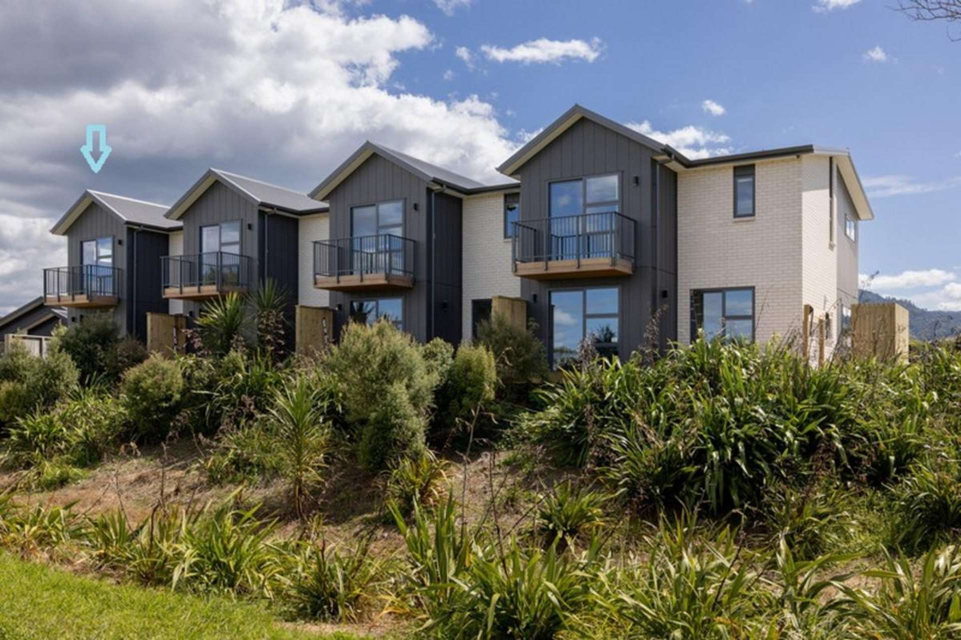 21 Haiku Way Katikati_0