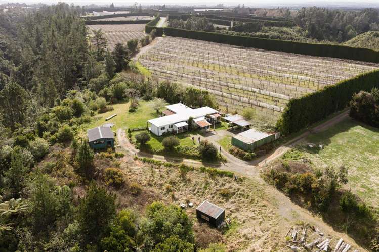 736 No 2 Road Te Puke_5