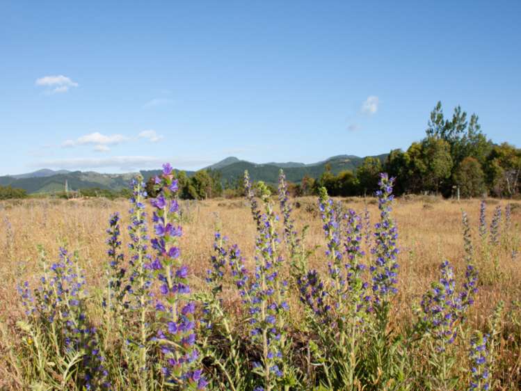 46 Edgewater Place Rarangi_6