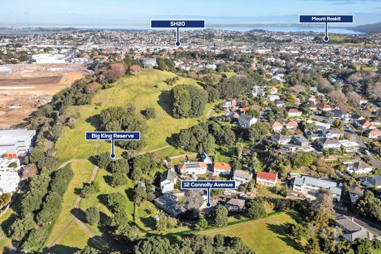 12 Connolly Avenue Mount Roskill_11
