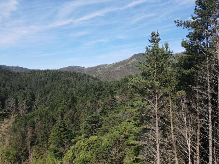 353 Pretoria Road Shannon_6