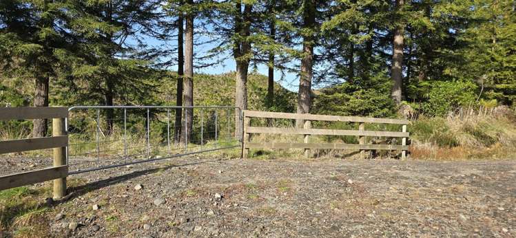 Junction Road Stratford_5