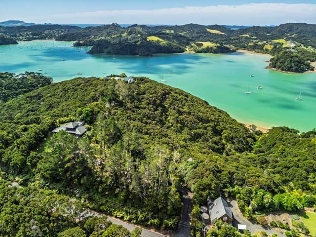 Where the Kiwi Calls & the Ocean Meets the Bush