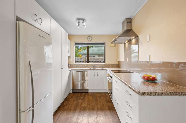 516 Terrace Road Parkvale_6