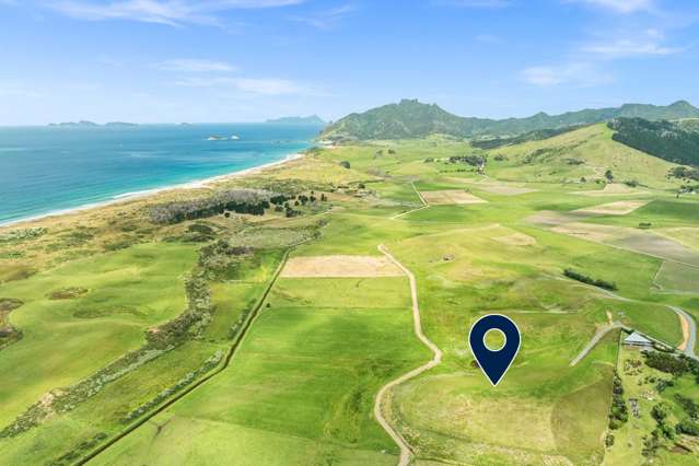 The best Whangarei Heads opportunity?