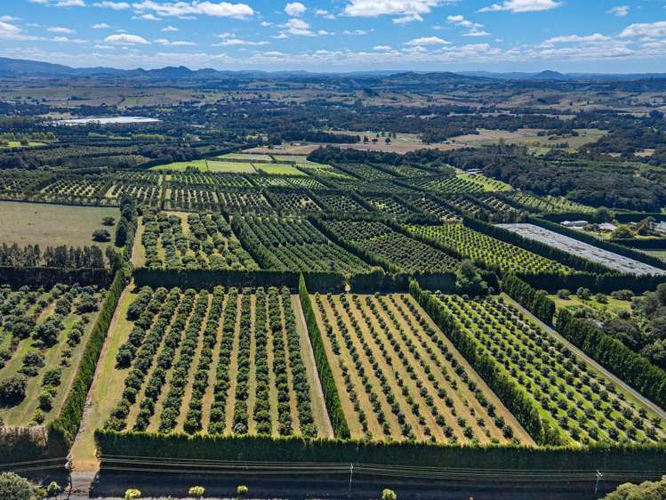 88 Stone Wall Rse Maungatapere_23