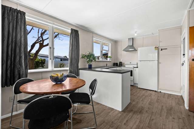 26 Mason Avenue Maraenui_4
