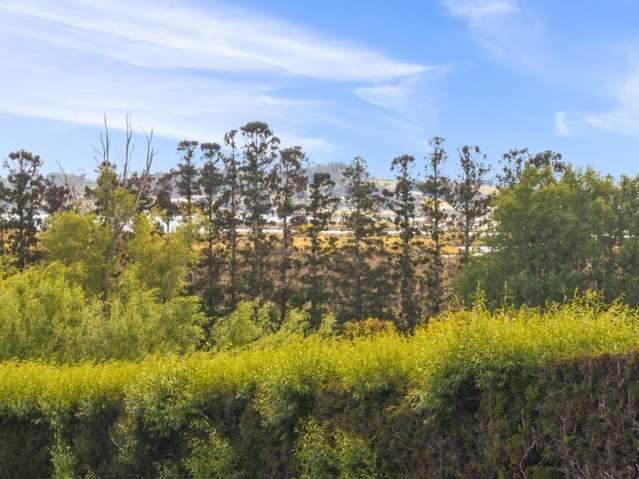 102 Avocado Lane Mangawhai_1