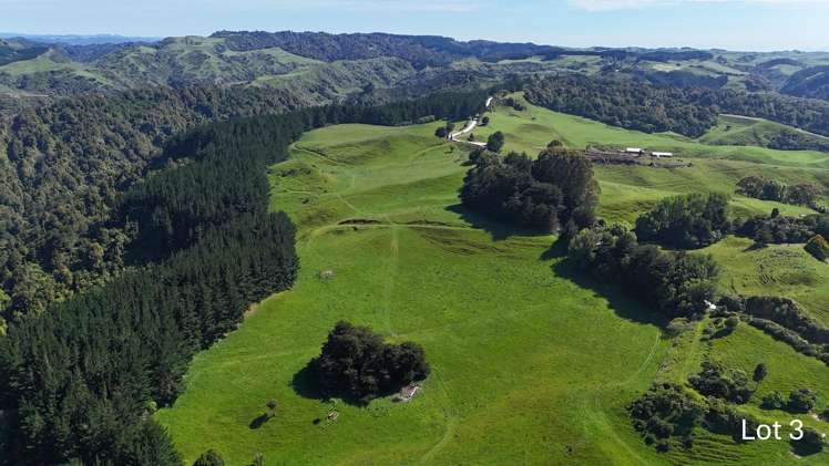 Lot 3 and 7/1005 Rangitatau East Road Kai Iwi_10