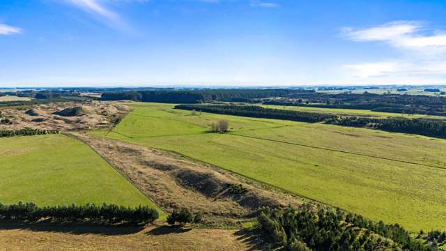 Lake Alice Road Bulls_3