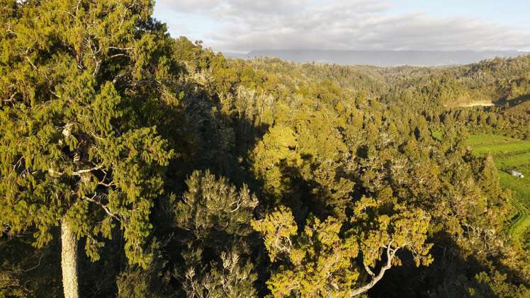 LOT 1 Granite Creek Road Karamea_17