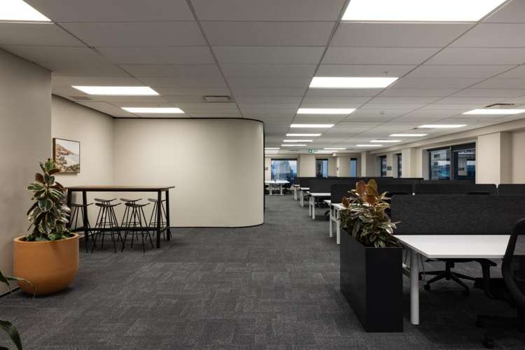 66 Wyndham Street City Centre_7