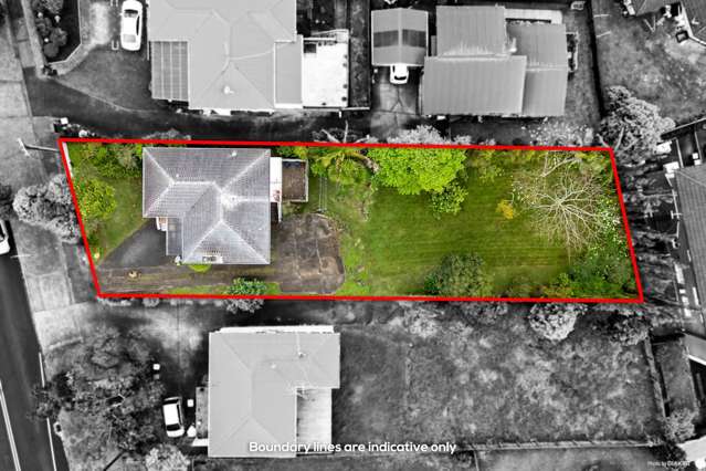 207 Sturges Road Henderson Heights_3