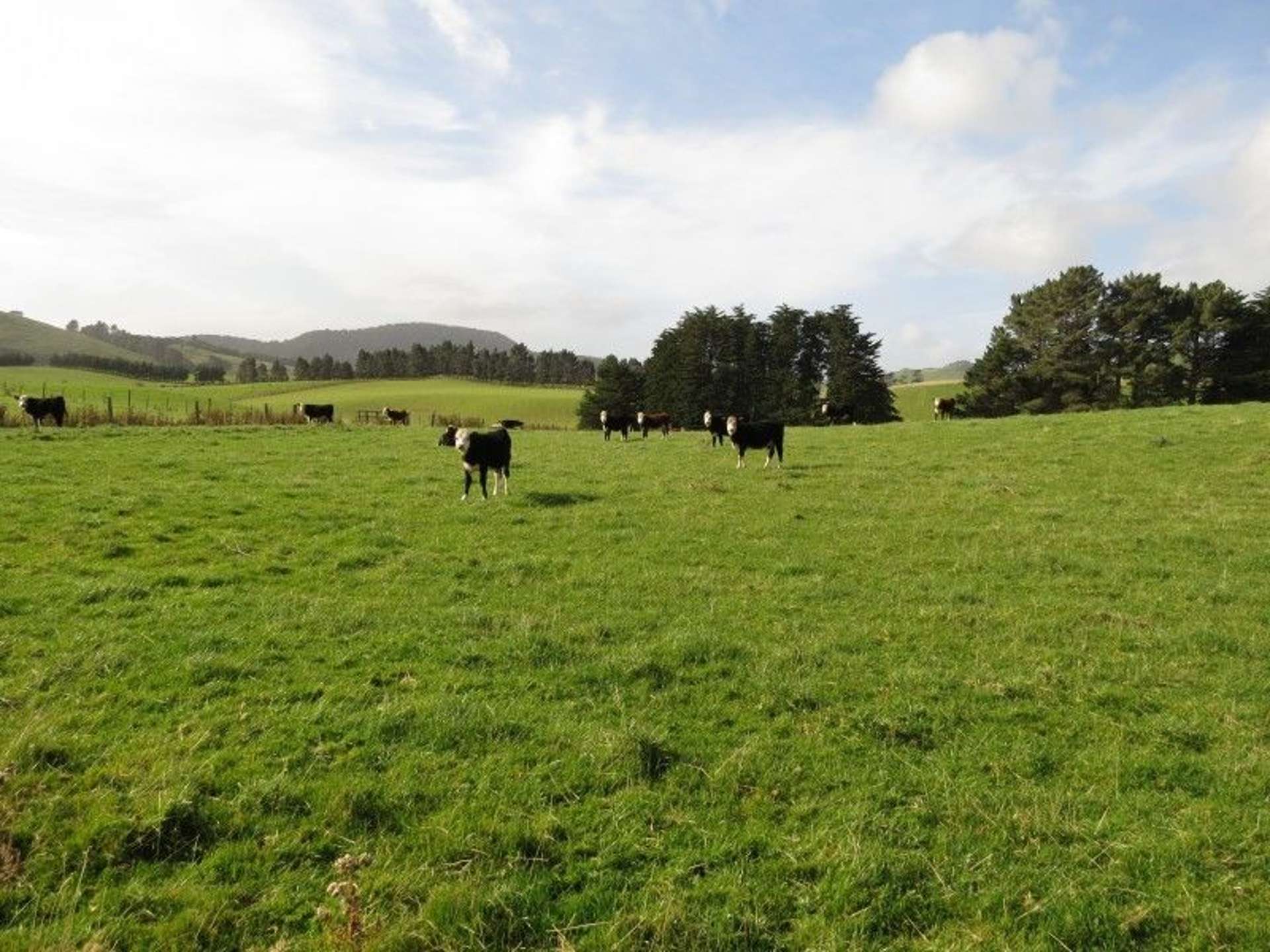 1094 Niagara Tokanui Highway Catlins Surrounds_0