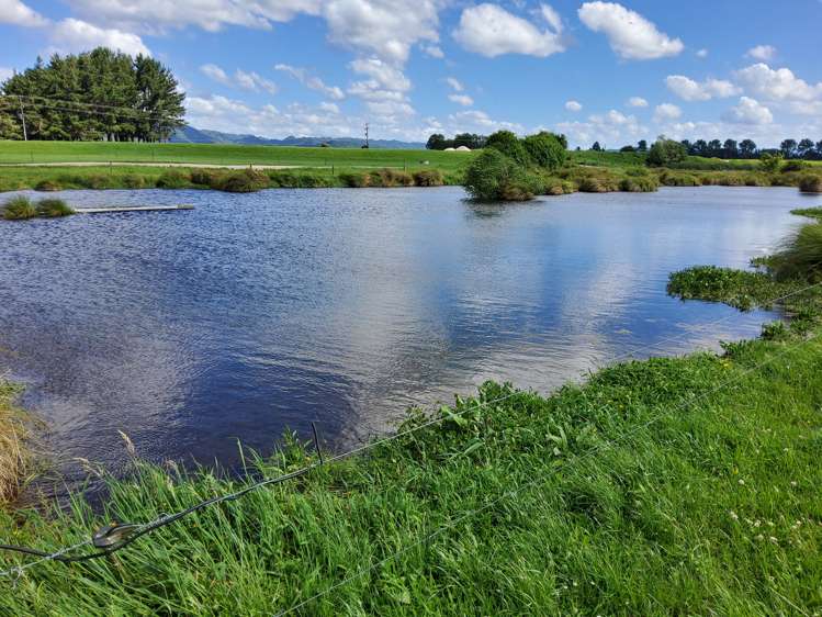 4980 Galatea Road Murupara Surrounds_16