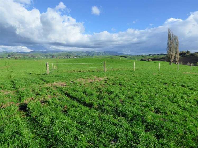 203/219 Paewhenua Road Maihiihi_15