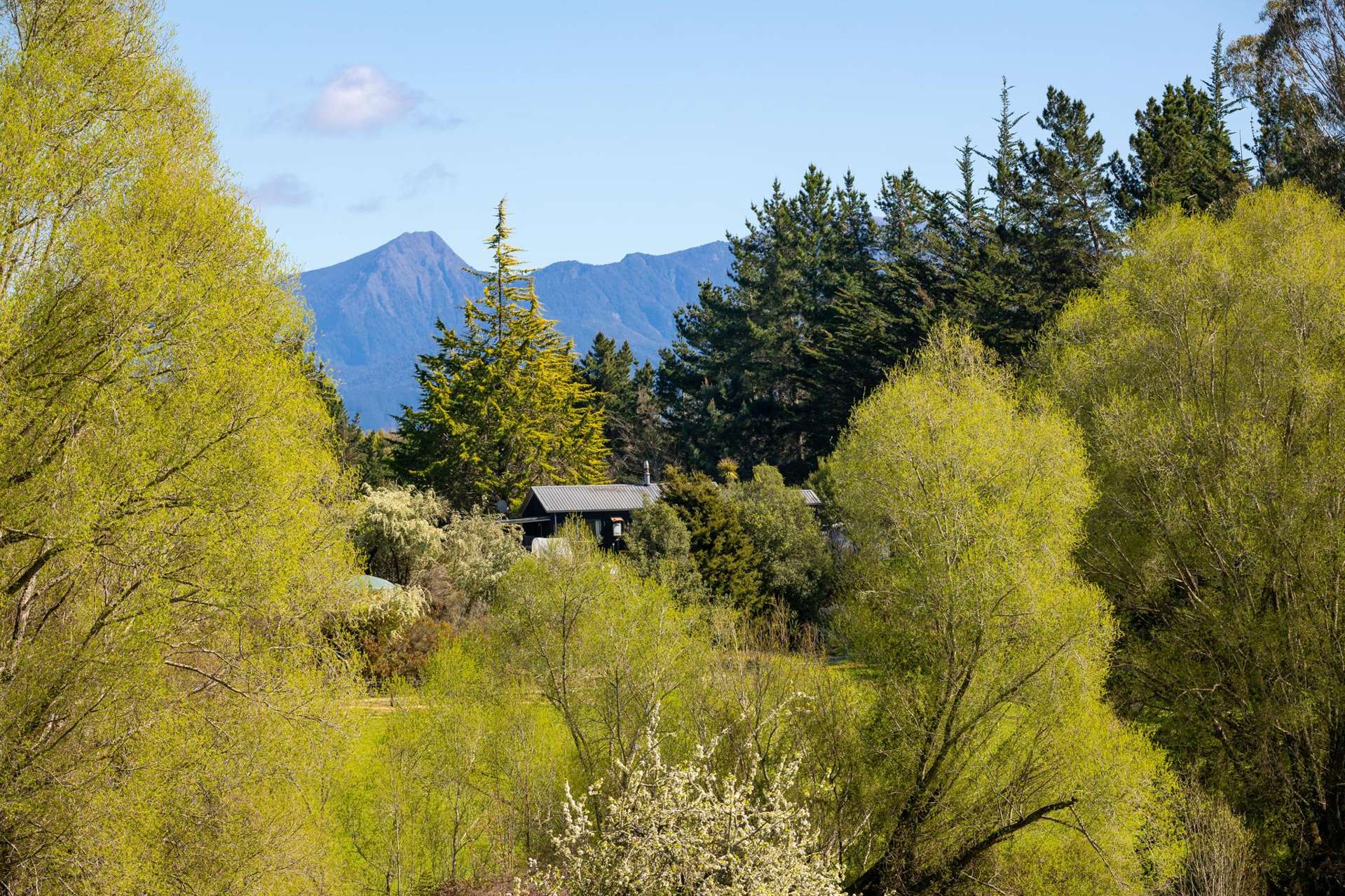 240 George Harvey Road Upper Moutere_0