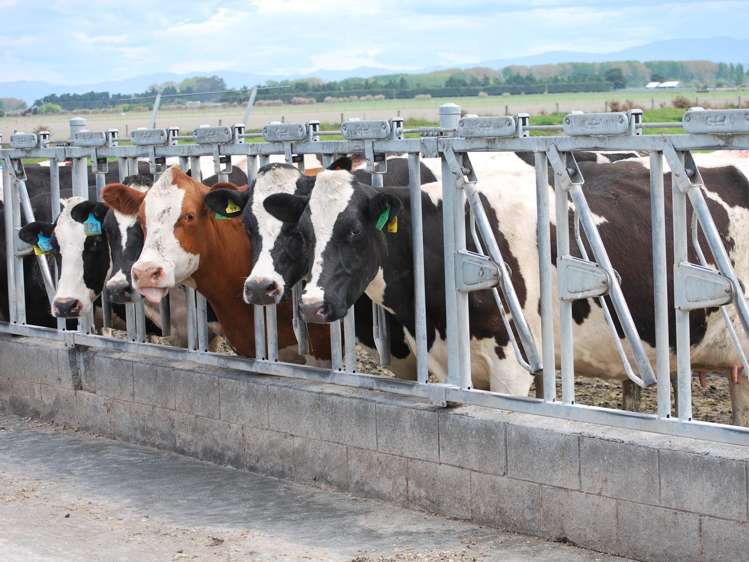 28 Toner Road Temuka_8