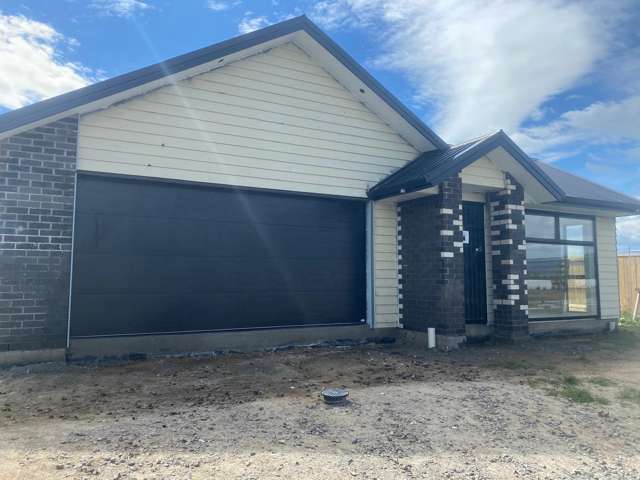 Ready for Paint! Brand new family Home!