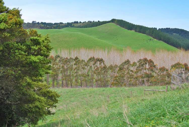 542e Oneriri Road Kaiwaka_18