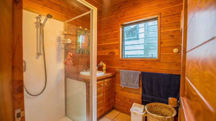 20 La Trobe Track Karekare_15