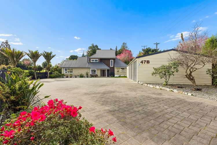 47B Taniwha Place Bethlehem_1
