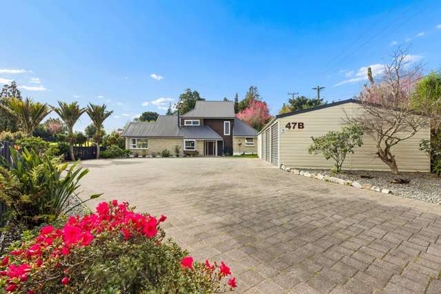 47B Taniwha Place Bethlehem_1
