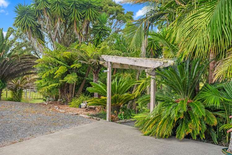 34 Sharyn Nelson Drive Haruru_27