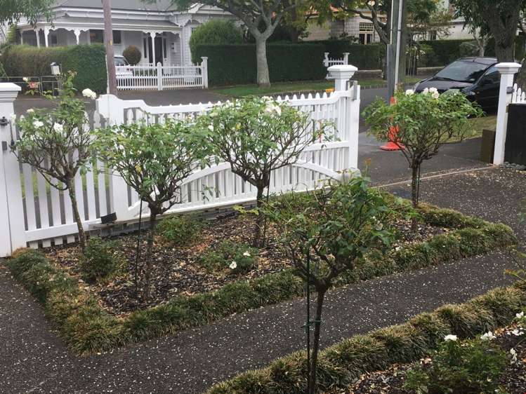 22 King Edward Street Mount Eden_5