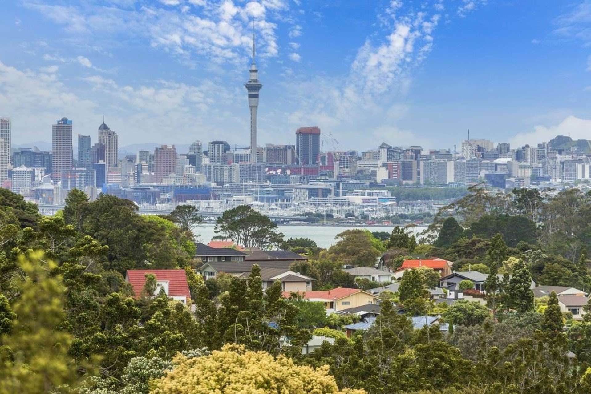 26 Balmain Road Chatswood_0