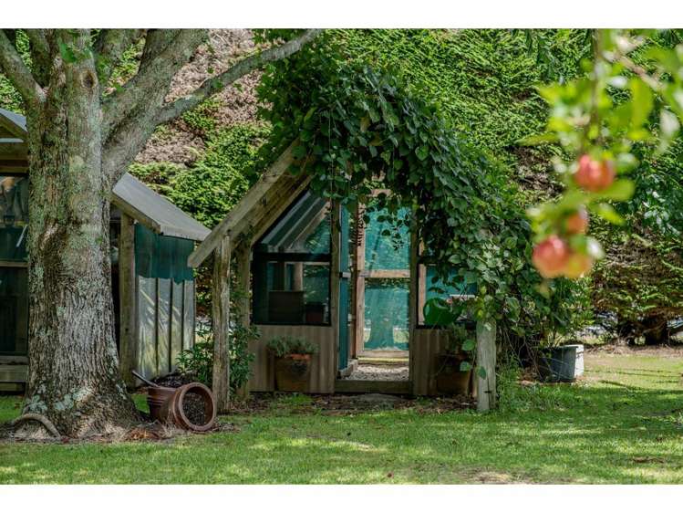 1 Lemon Grove Kerikeri Surrounds_30