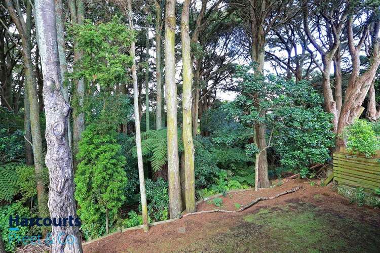 11 Kahurangi Place Hillpark_12